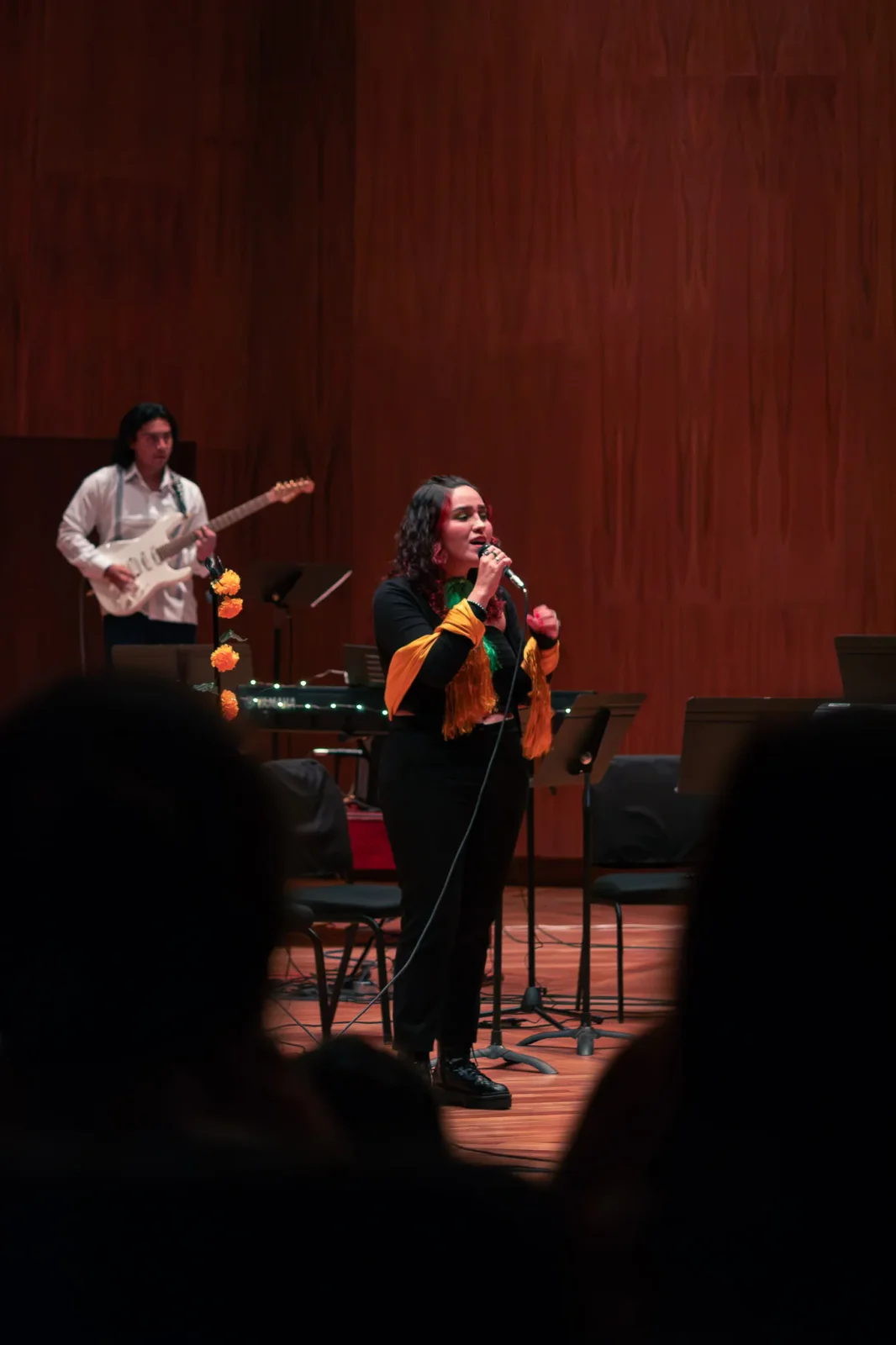 concert photography by JRMGraphy